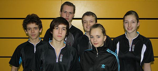 20110124-Badminton